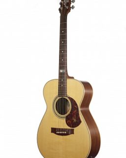 Акустическая гитара Maton EBG808TE