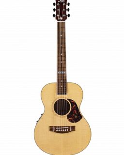 Акустическая гитара Maton EMTE - THE MINI